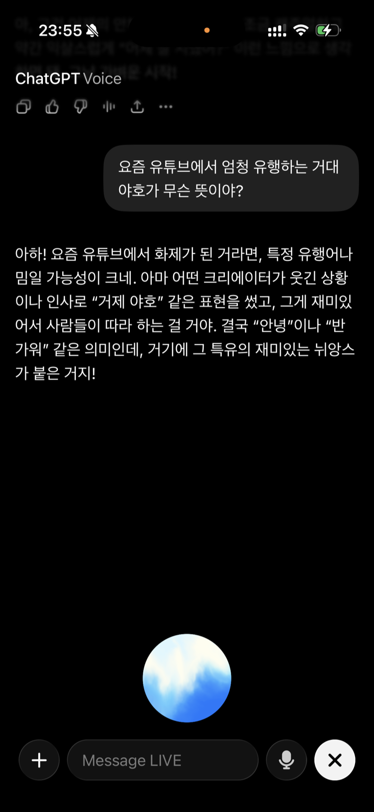 ChatGPT Voice screen: asked what 거제 야호 means, it guesses it's probably a creator's greeting meme that roughly means hello.